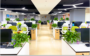 東盈公司
